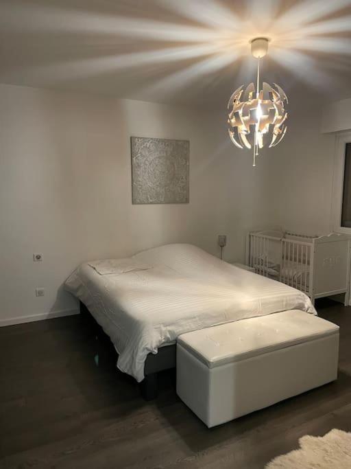 Appartement Cosy Strasbourg Schiltigheim Exterior photo
